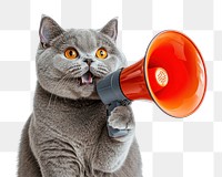 PNG A British shorthair cat holding a megaphone photography animal pet.