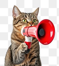 PNG A cat holding a megaphone photo photography animal.