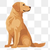 PNG Golden Retriever dog illustration retriever animal.