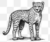 PNG Cheetah art wildlife drawing.