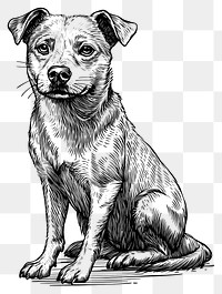 PNG Dog art drawing animal.