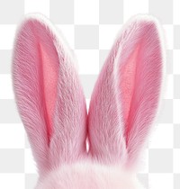 PNG Easter bunny ears background animal rabbit.