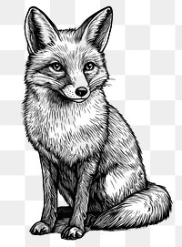 PNG Fox art wildlife drawing.