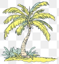 PNG Coconut tree illustration arecaceae botanical.