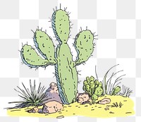 PNG Cactus illustration plants environment.