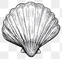 PNG Sea shell seashell black white.