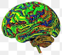 PNG Brain art illustration neuroscience.