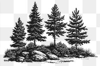 PNG Mountain and forest trees pine illustration.