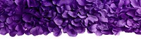 PNG Rose petals purple background flowers.