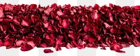 PNG Rose petals flower red arrangement.