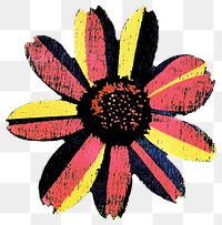 PNG Flower art illustration asteraceae.