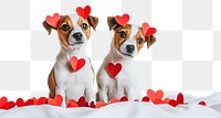 PNG Dogs valentine's puppies puppy.