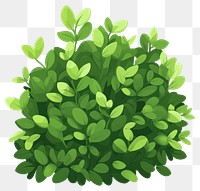 PNG A bush illustration green plant.