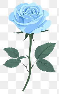 PNG Blue rose flower illustration art botanical.