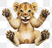 PNG Baby lion electronics wildlife hardware.