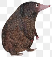 PNG Cute mole illustration whimsical animal children's.