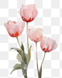 PNG Painting of pink tulips pastels flowers colors.