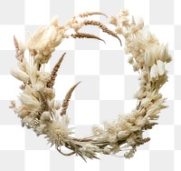 PNG Wreath flower dried arrangement.