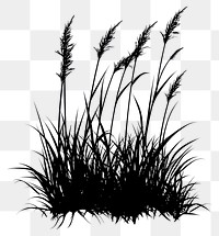 PNG Silhouette grass illustration plant.