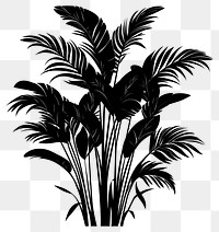 PNG Tropical bushes illustration silhouette plant.