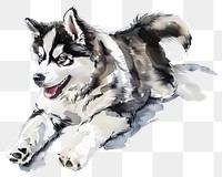 PNG Baby siberian husky character dog illustration animal.