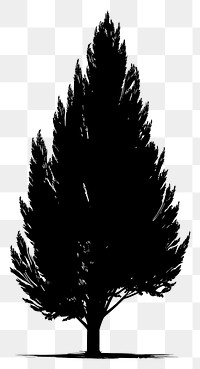 PNG Cypress tree silhouette illustration black.