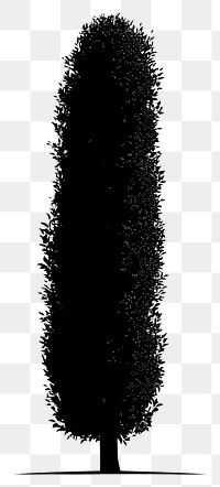 PNG Hedge tree silhouette illustration black.