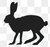 PNG Hare walking silhouette illustration animal.