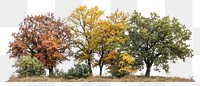 PNG Group of different trees photography nature autumn.