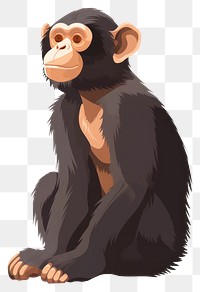 PNG Chimpanzee illustration chimpanzee wildlife.