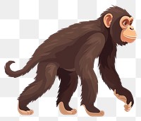 PNG Chimpanzee walking illustration chimpanzee wildlife.