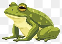 PNG Frog frog illustration amphibian.