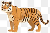 PNG Tiger tiger illustration wildlife.