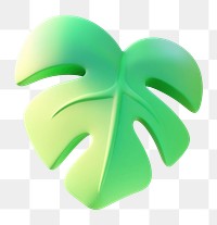 PNG 3d monstera illustration plant green.