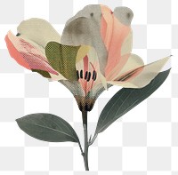 PNG Arch retro paper flower painting collage.