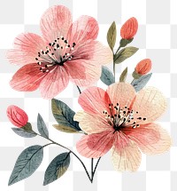 PNG Japanese flowers watercolor blossoms art.