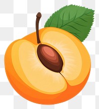 PNG Apricot illustration produce fruit.