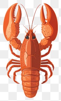 PNG Boiled Lobster lobster illustration seafood.