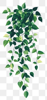 PNG Green Climbing shrub plant illustration leaves leaf.