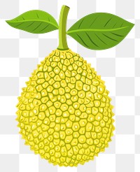 PNG Jackfruit jackfruit illustration leaf.