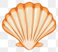 PNG Scallop illustration seashell art.