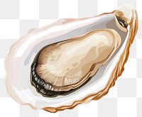 PNG Oyster oyster illustration seafood.