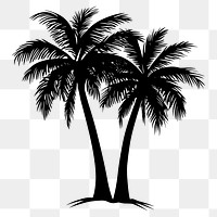 PNG Silhouette coconut tree art illustration arecaceae.