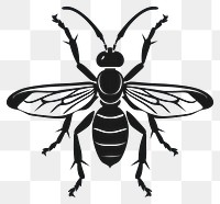 PNG Potter wasp silhouette insect black.