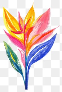 PNG Bird of paradise illustration watercolor flower.