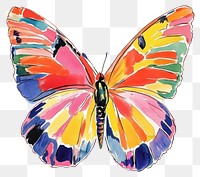 PNG Butterfly illustration watercolor art.