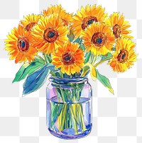 PNG Sunflowers in vase illustration watercolor painting.