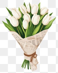 PNG White tulips bouquet flowers illustration newspaper.