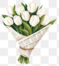 PNG White tulips bouquet flowers illustration newspaper.