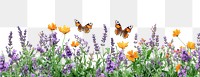 PNG Butterfly Attracting Garden butterflies butterfly lavender.